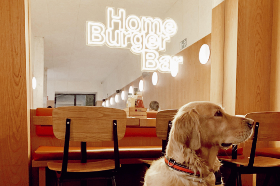 https://www.homeburgerbar.com/%C2%A1Ven%20con%20tu%20mascota%20a%20Home%20Burger%21